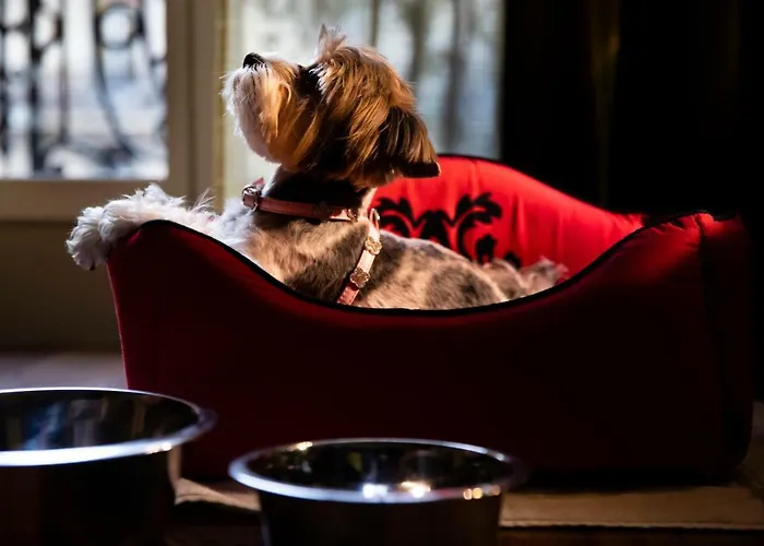 Edouard 7 Opéra Hotel Paris