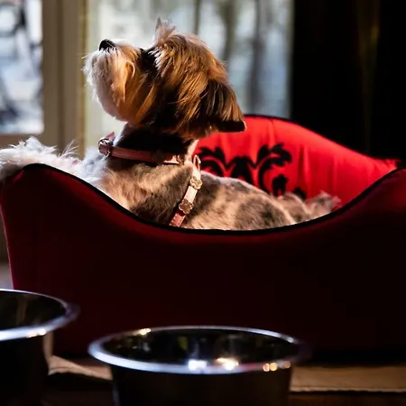 Edouard 7 Opera Szálloda Párizs